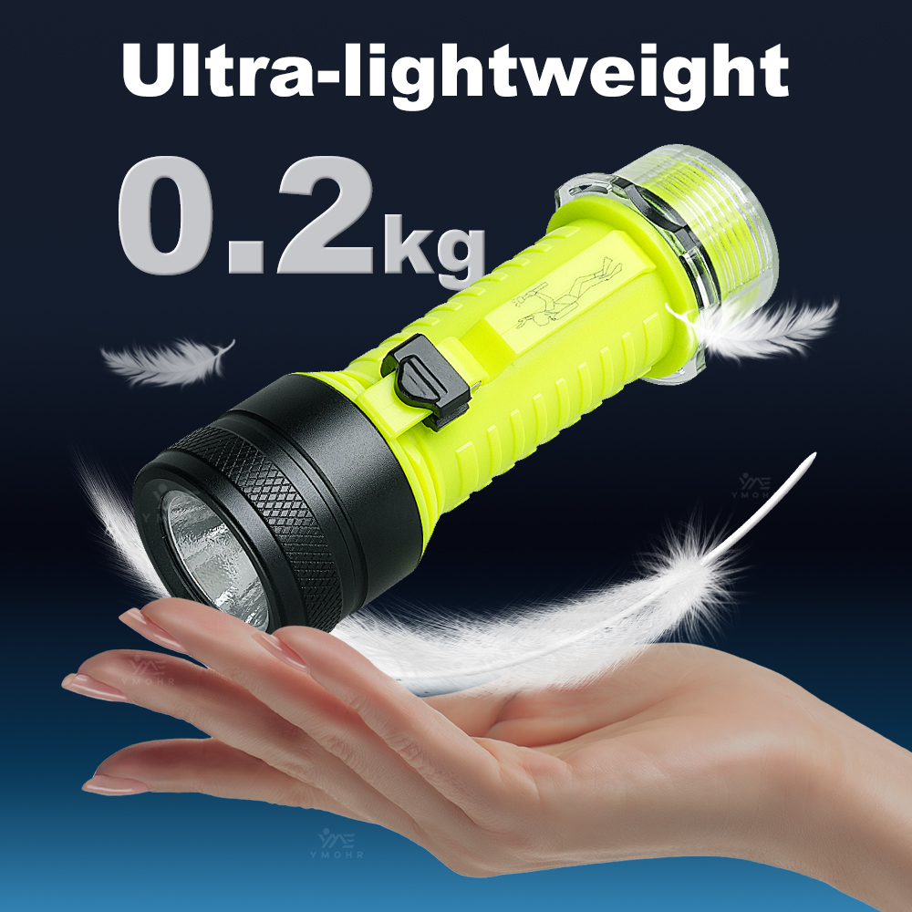 New Portable Professional LED  - Fishing Light avis et prix